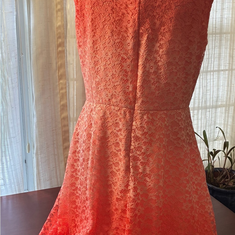 Covington Fit & Flare Coral Lace Dress Size 16 - Picture 8 of 8